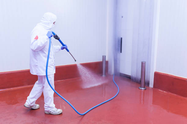 Best Pre-Holiday Cleaning  in Romancoke, MD