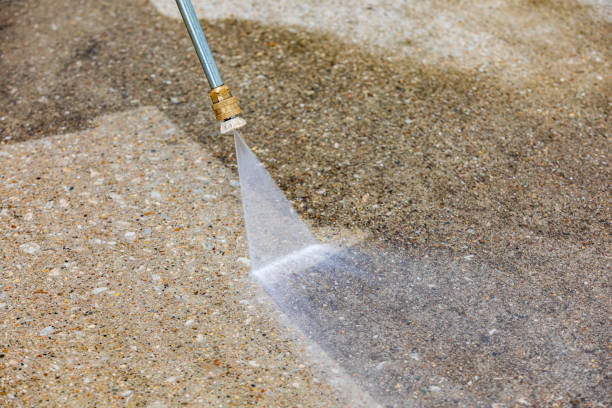 Best Gutter Cleaning  in Romancoke, MD